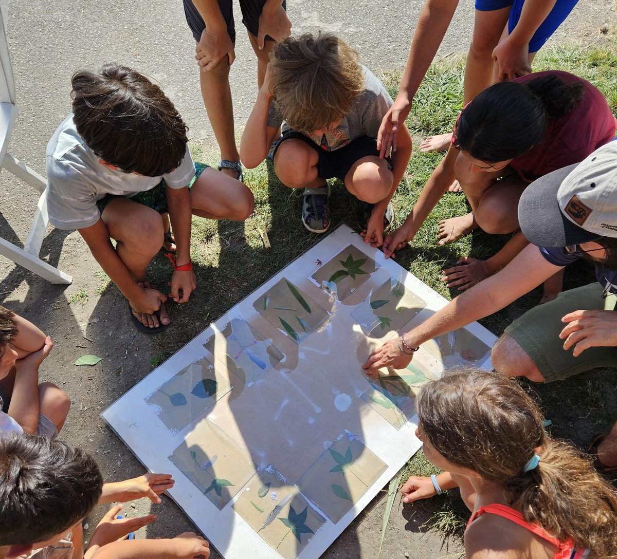 Campi solari nel Parco
Un’estate per conoscere la natura da San Rossore al lago di Massaciuccoli
Tutte le proposte di Equitiamo, Lipu, Brilla e Legambiente Pisa
#Scuolanellanatura #Campiestivi #Campisolari
bit.ly/campisolarisan…