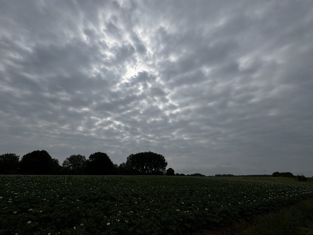 NicoClaeys's tweet photo. Bewolkte start maar de zon komt eraan ! #vrtweer Ieper om 10u30 https://t.co/KpDdF2Z1w3