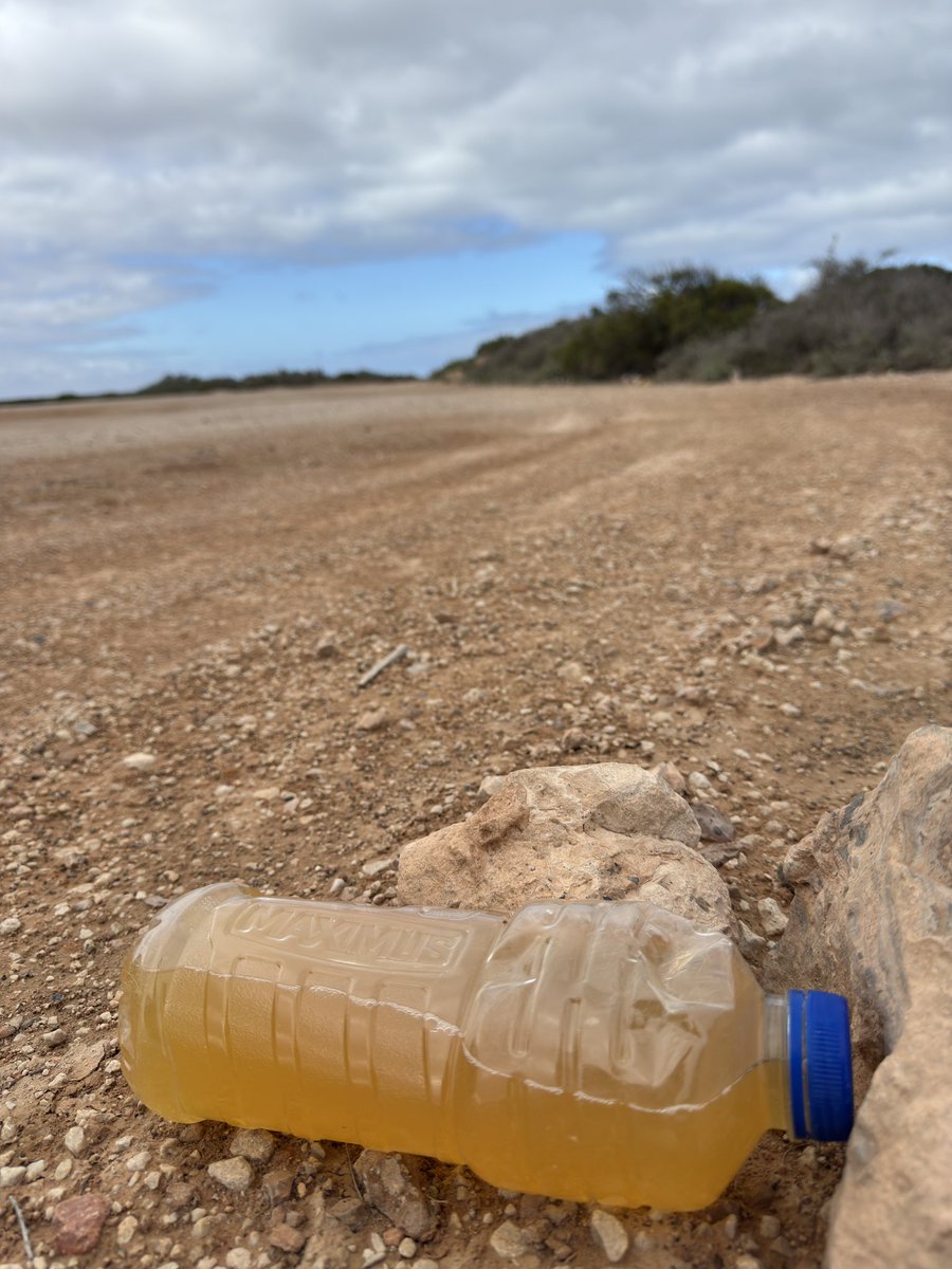 Thanks to the generous truckies leaving the 1L bottles of pig juice 🚚🐽🤤
