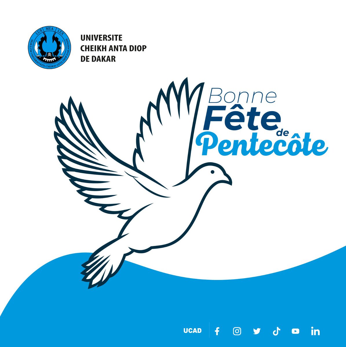 #PENTECÔTE2025✨🌿

En cette journée de Pentecôte, nous vous adressons nos pensées les plus sincères.

Que cet esprit de renouveau et de partage vous accompagne dans vos projets, personnels comme professionnels !

Nous vous souhaitons une très belle fête de la Pentecôte. 🕊️