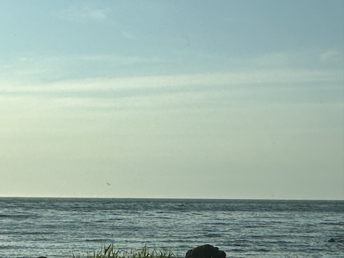 こぐま北海道 tweet media