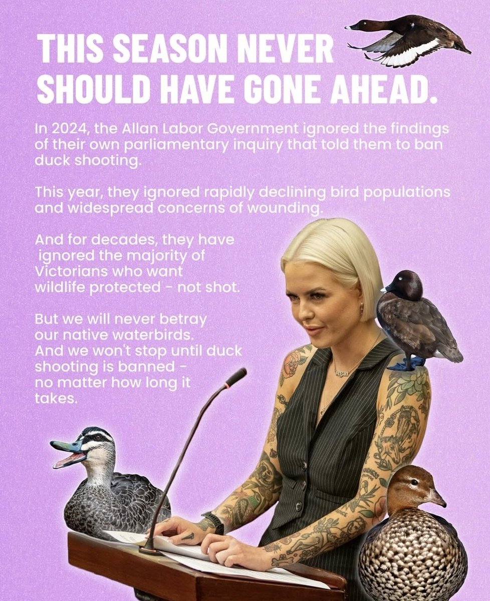 Animal Justice Party Victoria tweet media
