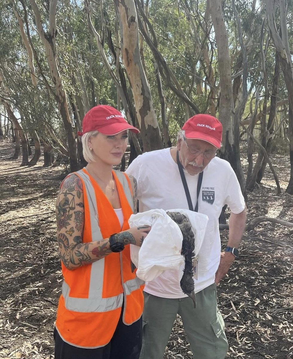 Animal Justice Party Victoria tweet media