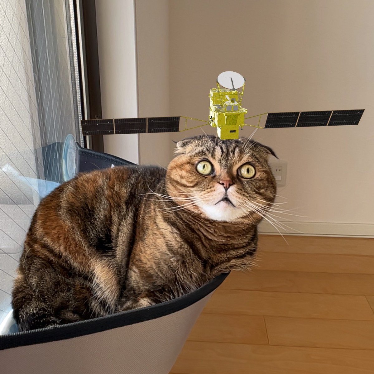 GOSAT-GW乗せたら飛べるかにゃ？🐈

GOSAT-GW×H-IIAロケット50号機 打上げ特設サイトにGOSAT-GWのAR(拡張現実)コンテンツが追加されました！

みんなもGOSAT-GWと写真・動画を撮影して応援タグ「 #がんばれGOSATGW 」をつけてメッセージを投稿してください！

fanfun.jaxa.jp/countdown/gosa…

#JAXA #GOSATGW