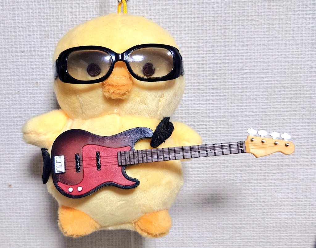 noir405's tweet photo. やたら元気の良いベーシストぴよこにグラサンも装備してみました🐥❤
#ぴよこ豆
#TomoN
#ロックの日 https://t.co/XEH32XtGY2