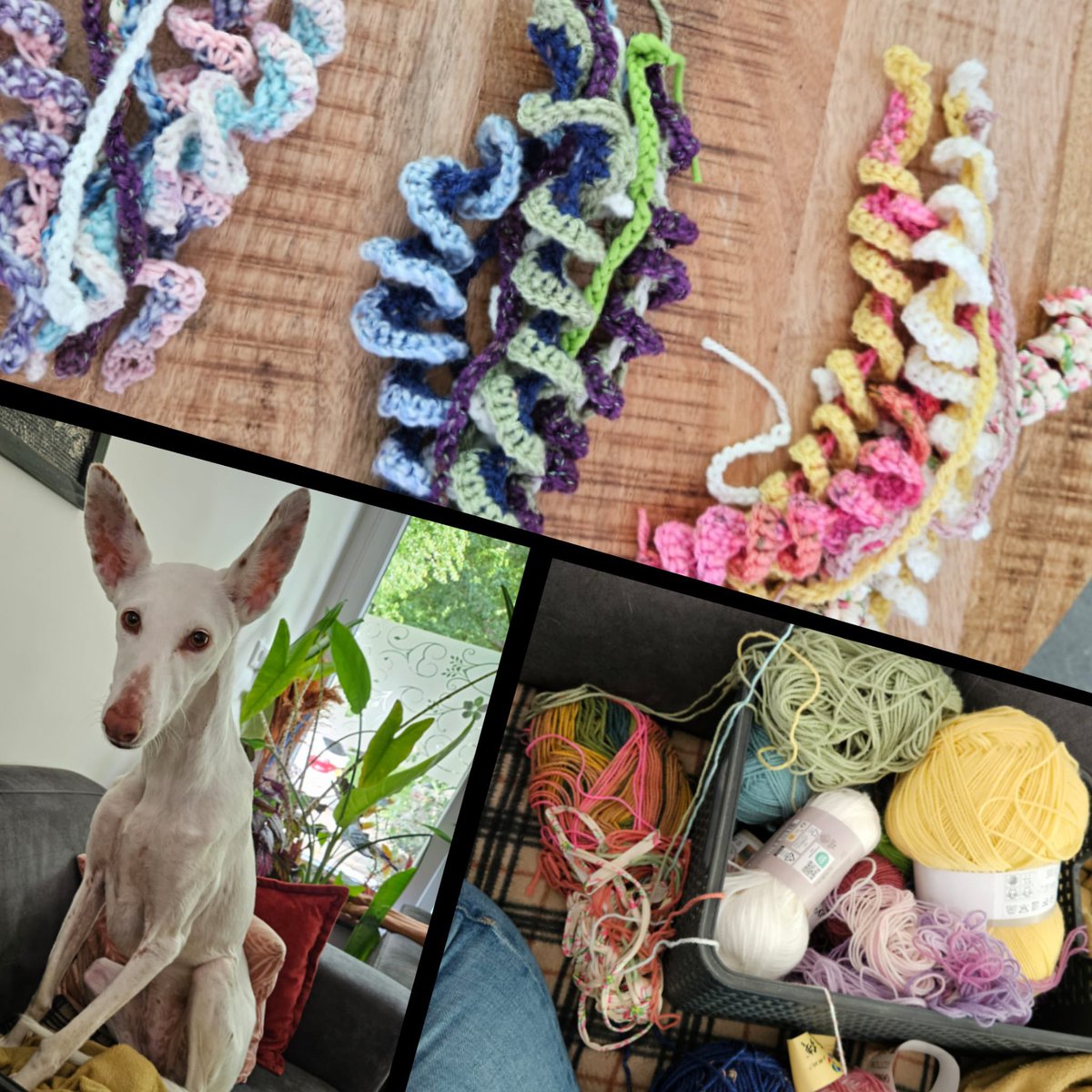 redravenpottery's tweet image. Big day tomorrow - finally surgery time 💪 Hoping this will ease the pain while making pottery. In the meantime… I’ll be unveiling my not-so-little-anymore crochet side hustle 🧶 Stay tuned, it’s about to get loopy!

#crochetlove #artistlife #handmadevibes #kienbockdisease