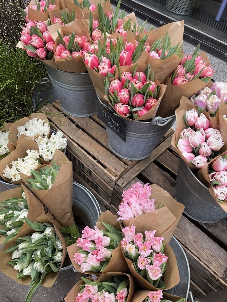 liIacdaisy's tweet image. mode on: vacation