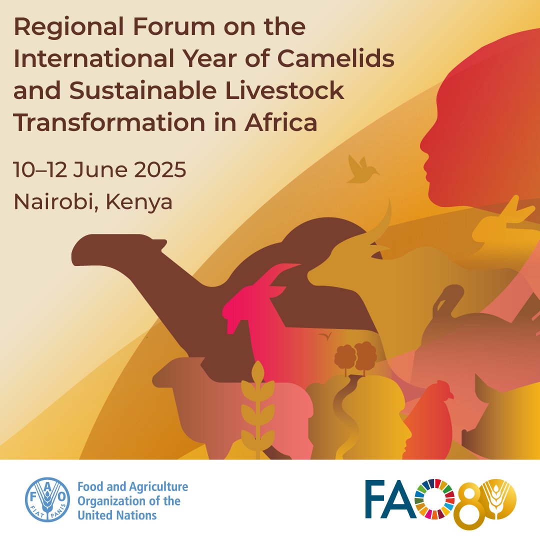 🐪 Join us‼️
Regional Forum on the International Year of Camelids &amp; Sustainable Livestock Transformation in Africa.
📅 10-12 June
📍 Nairobi 🇰🇪
#IYC2024 #SustainableLivestock
Check out the webpage for this #YearOfCamelids event in Kenya. rb.gy/s4duxn