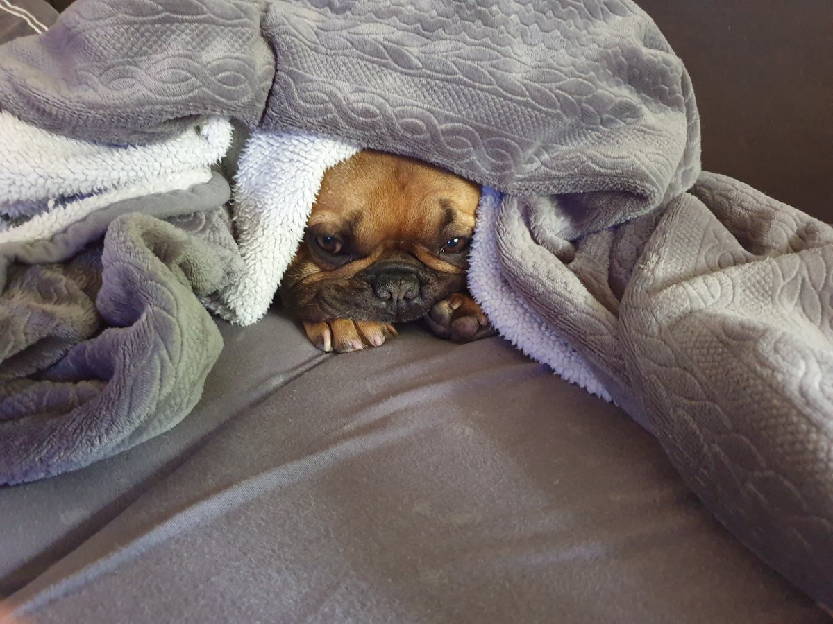 Zimno, wieje i ciągle pada.... Trzeba sobie jakoś radzić 😉🙂