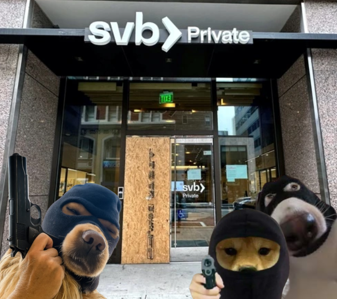 fin_huntergem's tweet photo. not dogs, but $rob

no trade, just steal

give me your money, your SOL or become the rob

Ca:  4DGBm6WehLpqzAQrpqFVboeP8v5ypyjqPCkRyd6Apump https://t.co/YfQ09u4yhe