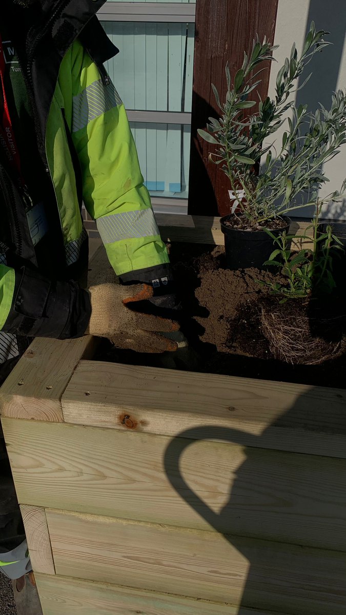 MeristemDesign's tweet image. Our team's been busy installing SUDS planters across school playgrounds 🌱
Managing rainwater while creating hands-on learning spaces for kids to connect with nature.
Here's our Head of Projects, Wilf, planting drought-tolerant species at St Helen's Catholic Primary School.