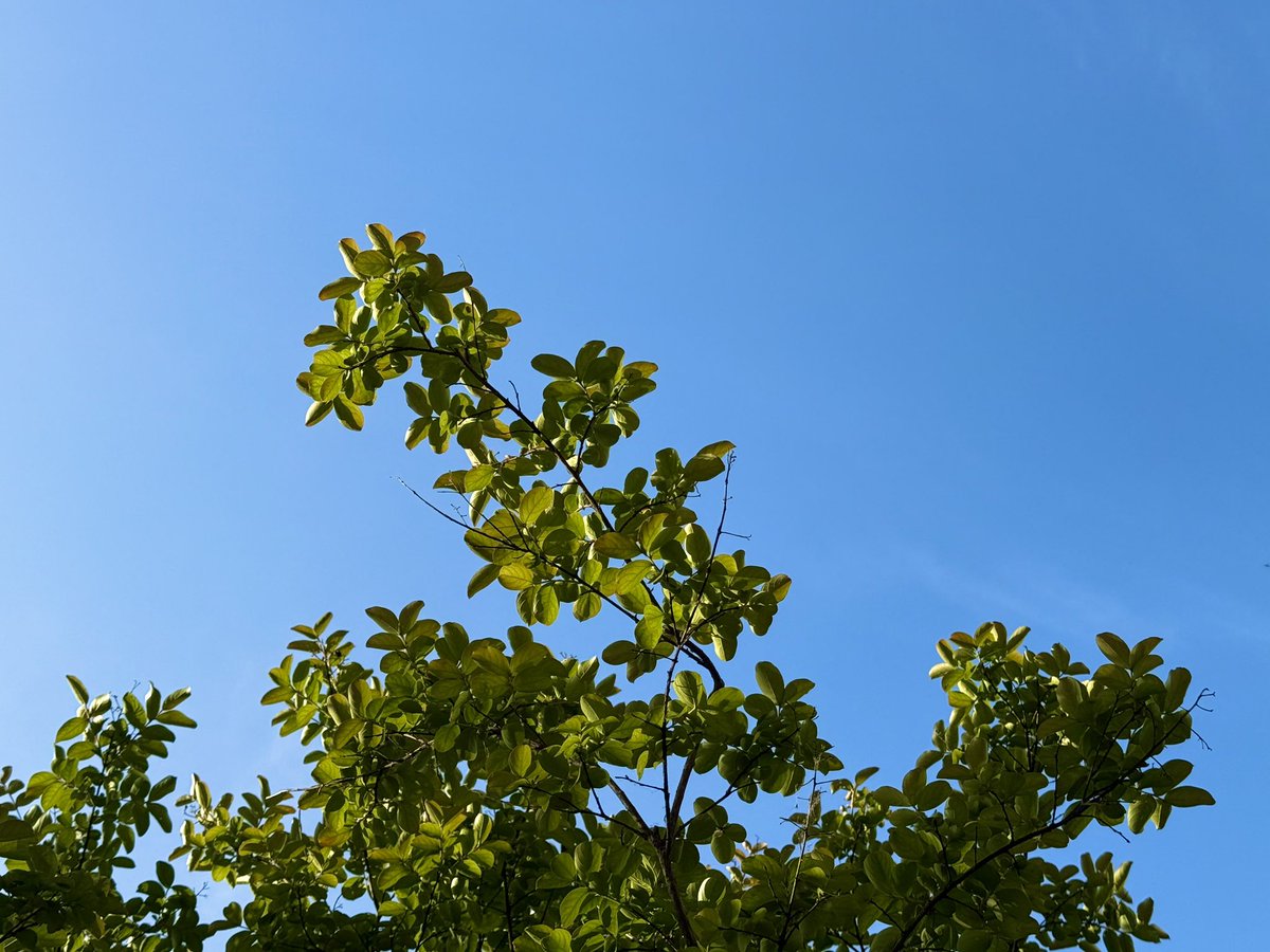 CIX_twt's tweet image. 😐😉

#CIX #FIX #용희 #김용희 #ヨンヒ #yonghee #맛저하세용