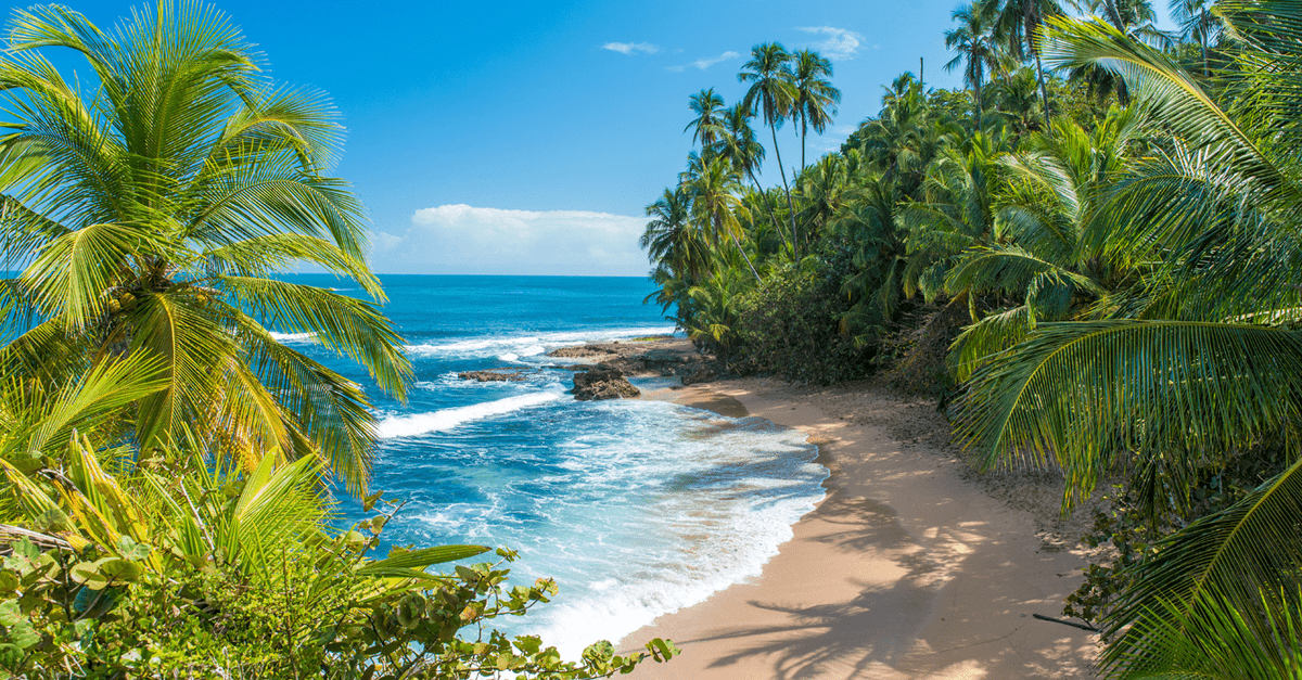 perf_wedding's tweet photo. Dream weddings can be affordable too, with stunning destinations like Cancún, Santorini, and Bali offering romantic, all-inclusive packages—some starting under $1,000. #AffordableWeddings #RomanticGetaways #DestinationWedding

https://t.co/va0Hm96mjY https://t.co/yU0N3caHgI