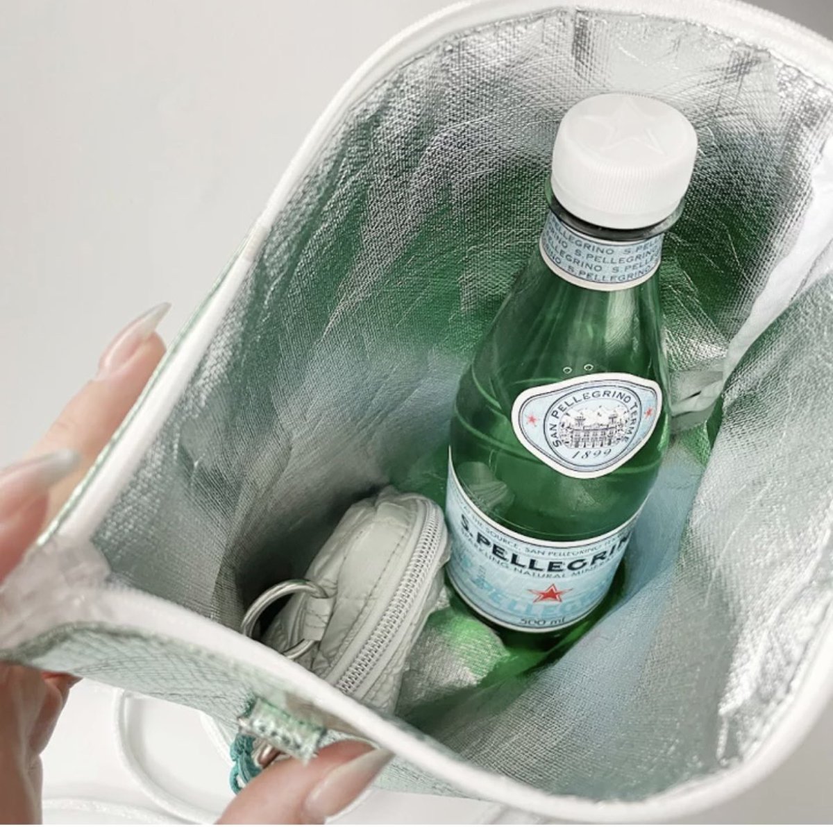 このビジュで保冷バッグなんだよ…？
夏の必需品すぎない？
