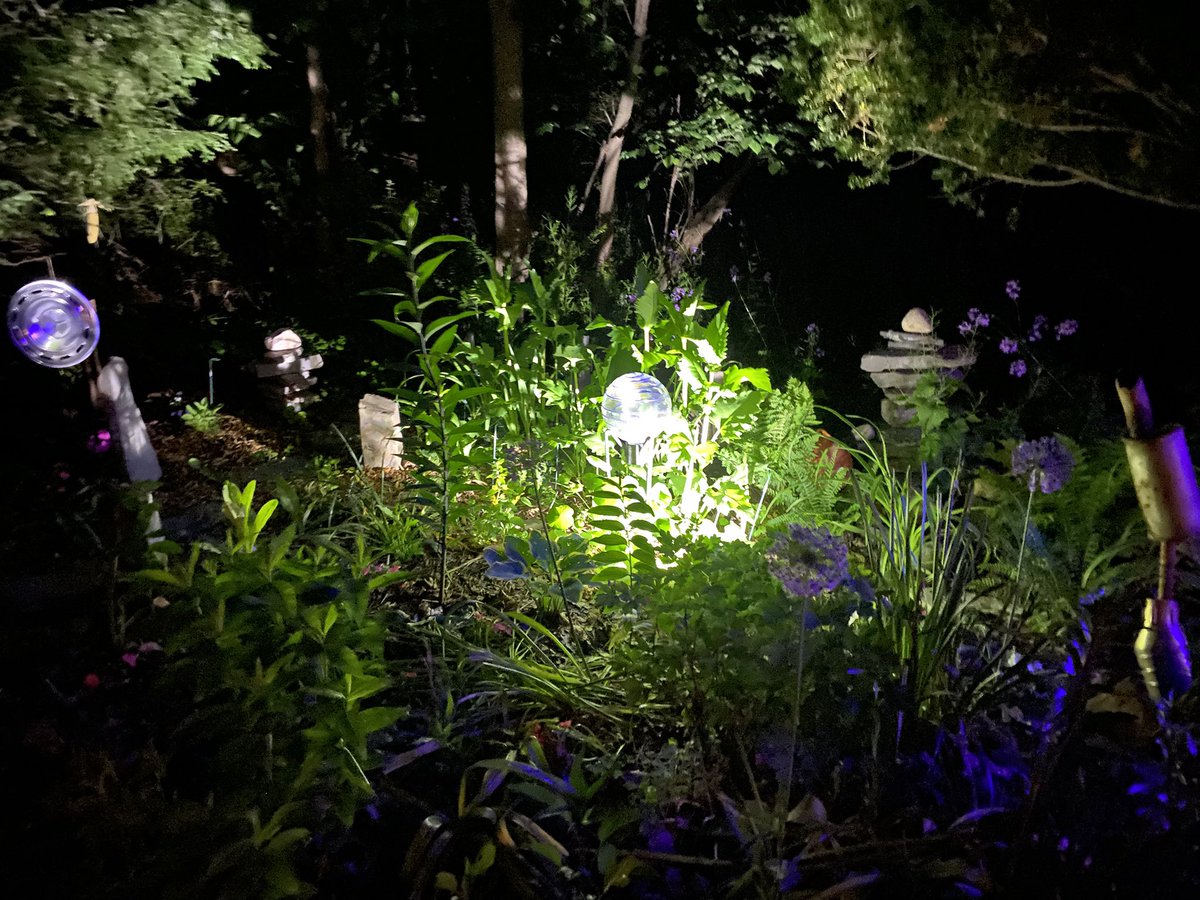 pondaroski's tweet image. 20250607 Looking Skyward Tracking Airplanes Missing Lost Loved Ones During There Unnormal Times, Jacksonville, NY. Z. 
#thepurposeportfolio
#unnormal
#lostlovedones
#selfportrait
#contrails
#bonfire
#blazin
#cookout
#perennialgarden
#zorangehat
#pondaroski
#joeziolkowski