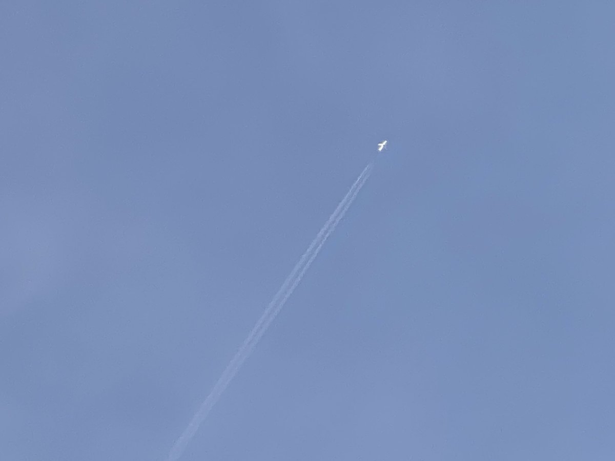 pondaroski's tweet image. 20250607 Looking Skyward Tracking Airplanes Missing Lost Loved Ones During There Unnormal Times, Jacksonville, NY. Z. 
#thepurposeportfolio
#unnormal
#lostlovedones
#selfportrait
#contrails
#bonfire
#blazin
#cookout
#perennialgarden
#zorangehat
#pondaroski
#joeziolkowski