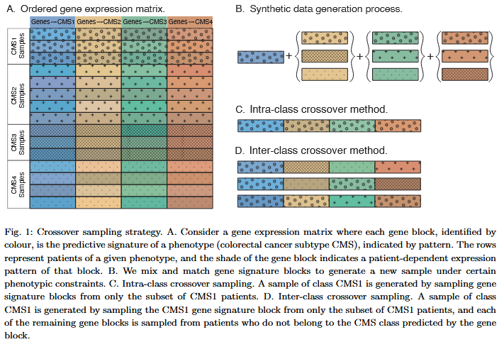 BioinfoAdv's tweet photo. 🧬 Now published in Bioinformatics Advances: “Phenotype driven data augmentation methods for transcriptomic data”  

Explore the full study: https://t.co/aQz7RVat7q

Authors include: @niklexical https://t.co/ctvW8orvye