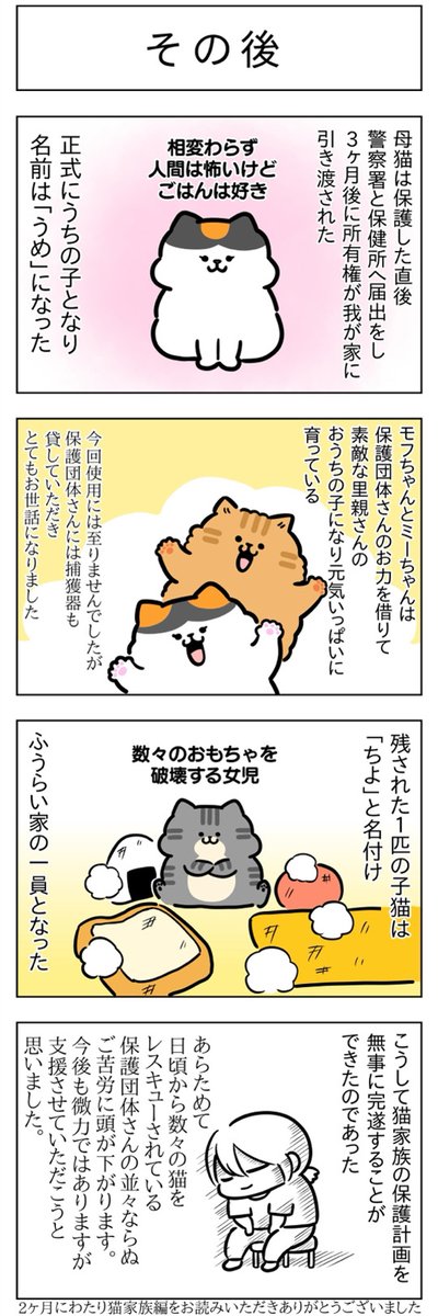 母猫・その後│フェリシモ猫部  https://t.co/td0fQnILSJ @felissimonekobuより 