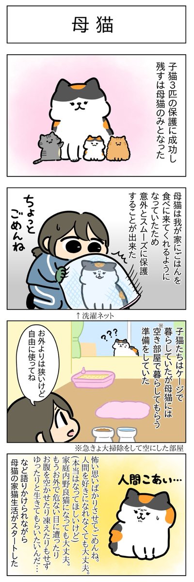 母猫・その後│フェリシモ猫部  https://t.co/td0fQnILSJ @felissimonekobuより 