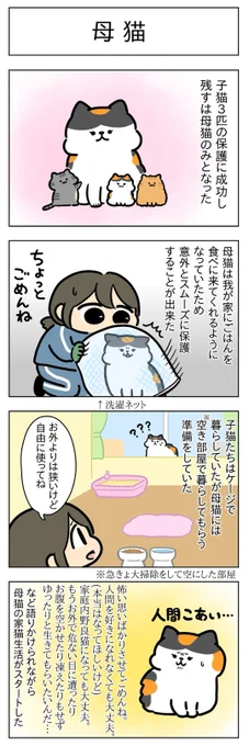 母猫・その後│フェリシモ猫部  https://t.co/td0fQnILSJ @felissimonekobuより 