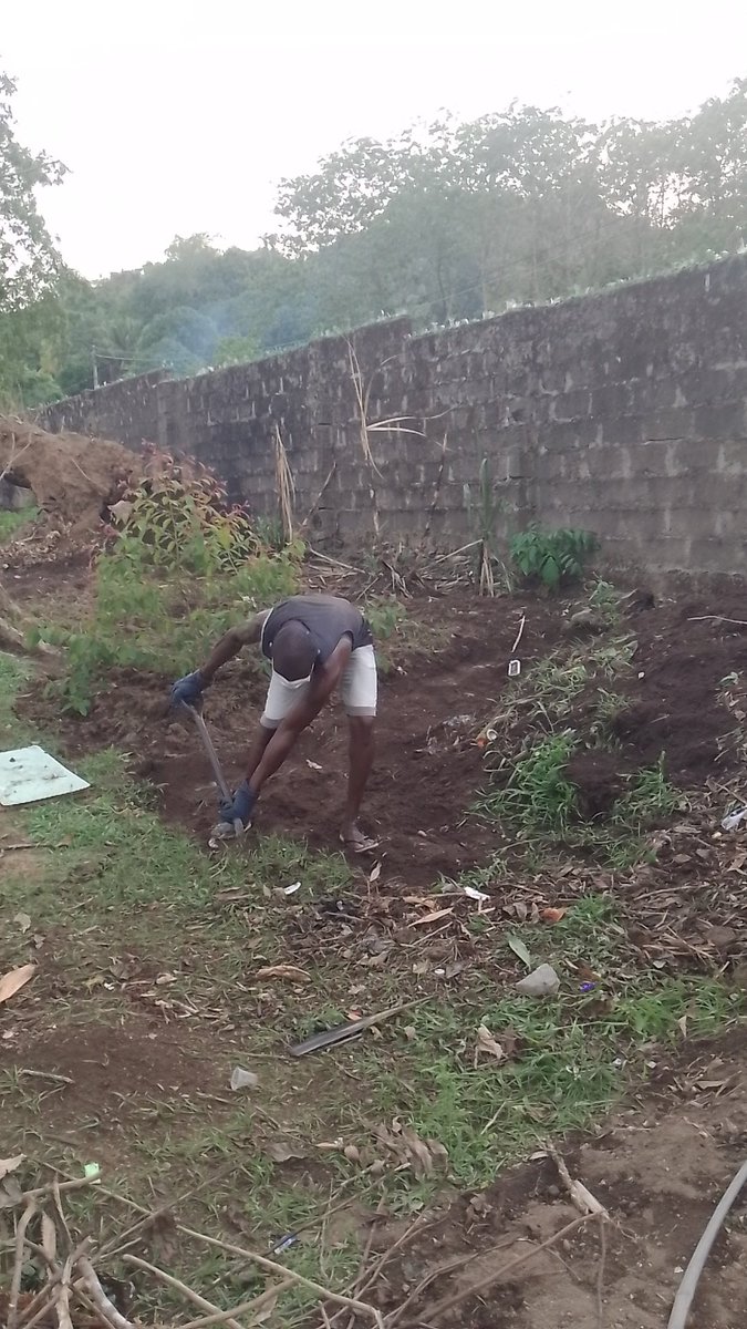 Dearplasticsl's tweet photo. Photos of our campus garden from the removal of plastic waste to the construction of seedbeds. Thanks to the Estate Officer University of Makeni, Fatima Campus for such a collaboration.
#DearPlasticDearPlastic
#EcoTalk
#BeatPlasticPollution https://t.co/aRPw3TyQSo