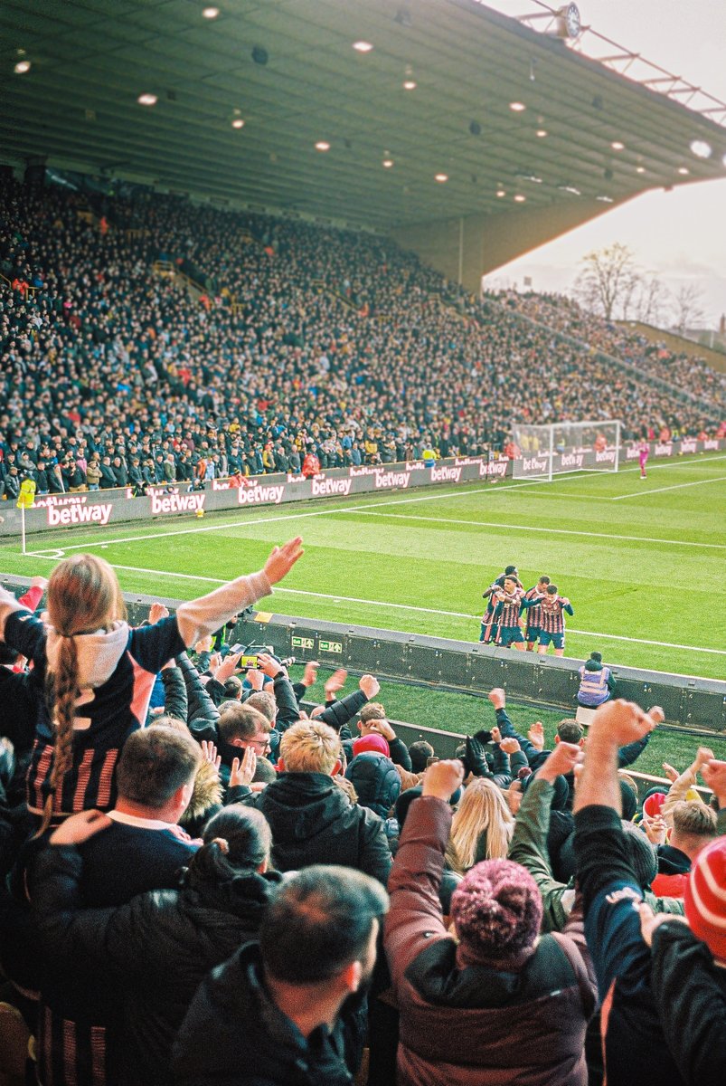 GloriousBanners's tweet image. I wanna know, Harry Toffolo 🌳❤️