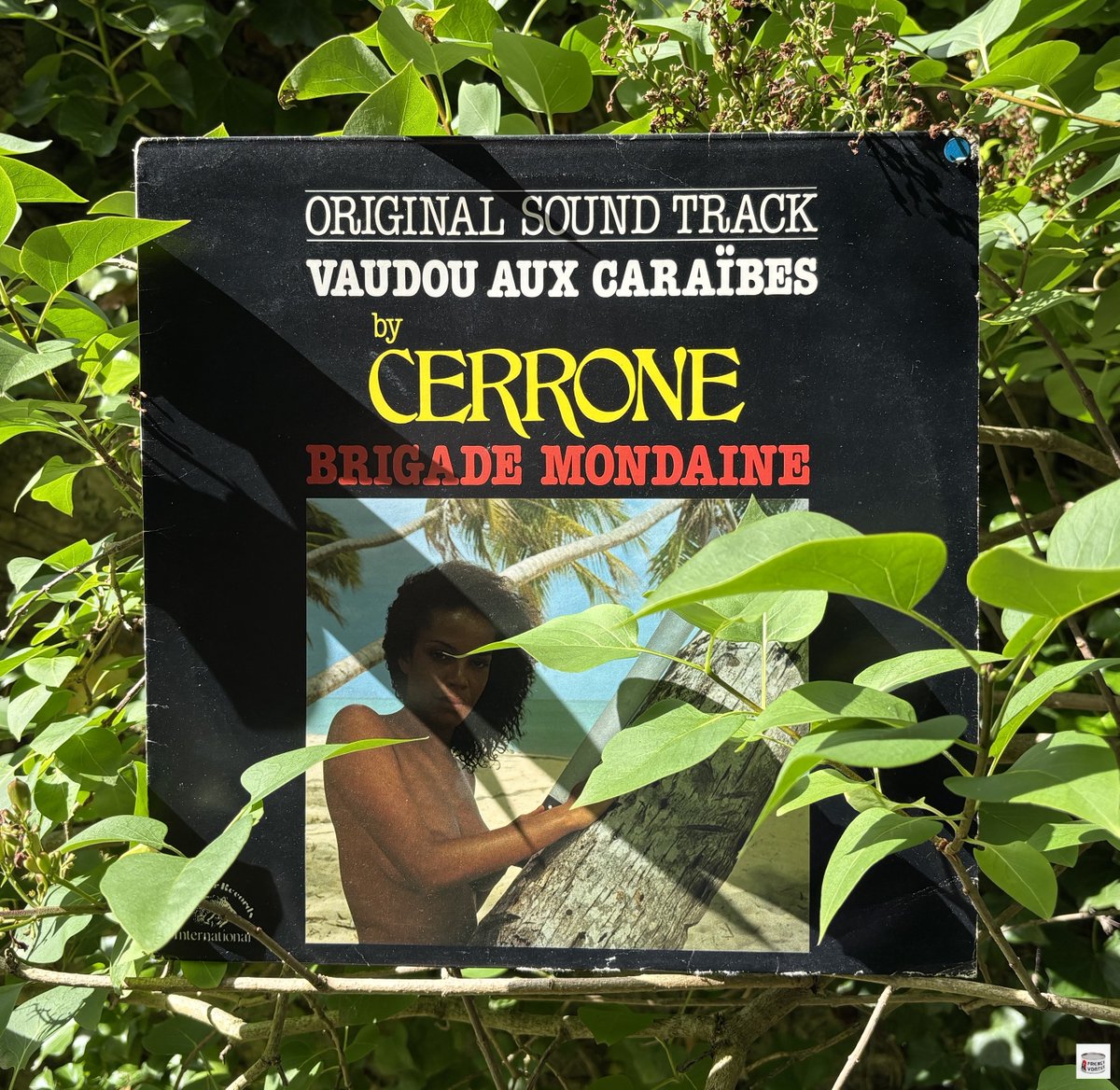 🎧 #frenchgroove #soundtrack #ost #soul #disco #funk #vinyl  
🐊 Cerrone "Vaudou aux Caraïbes" LP 1980 Malligator
désertion👉youtu.be/M_xND9RbUYc?si…
générique👉youtu.be/4G_eoyy0gVc?si…