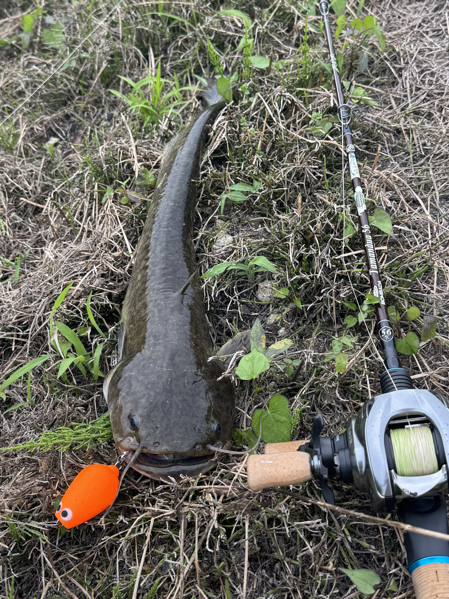 AK様 おまとめ 数々の賞を受賞 SPARK (racing System Exhaust Titanium Full ZX