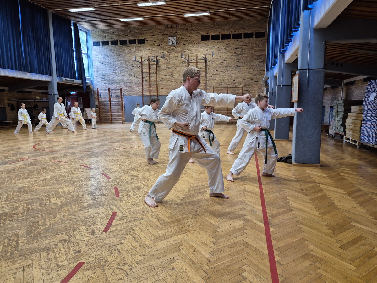 KarateSeeheim's tweet photo. Auch an Pfingsten Sonntag trainierte Karate Seeheim #Dojo #karate #fun #kids #family #Pfingsten2025 #Seeheim #Kata #Kumite #welovekarate 🥋 https://t.co/P4N5pceQSR