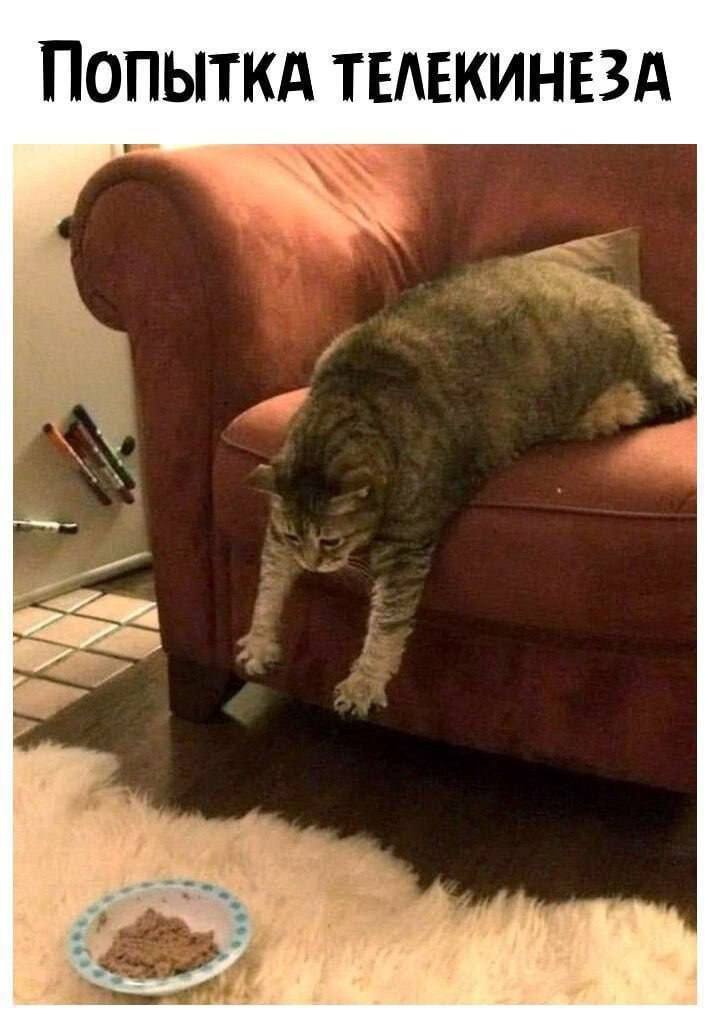 Psych🔞Pathᶻᵛ (@clown_itt) on Twitter photo 