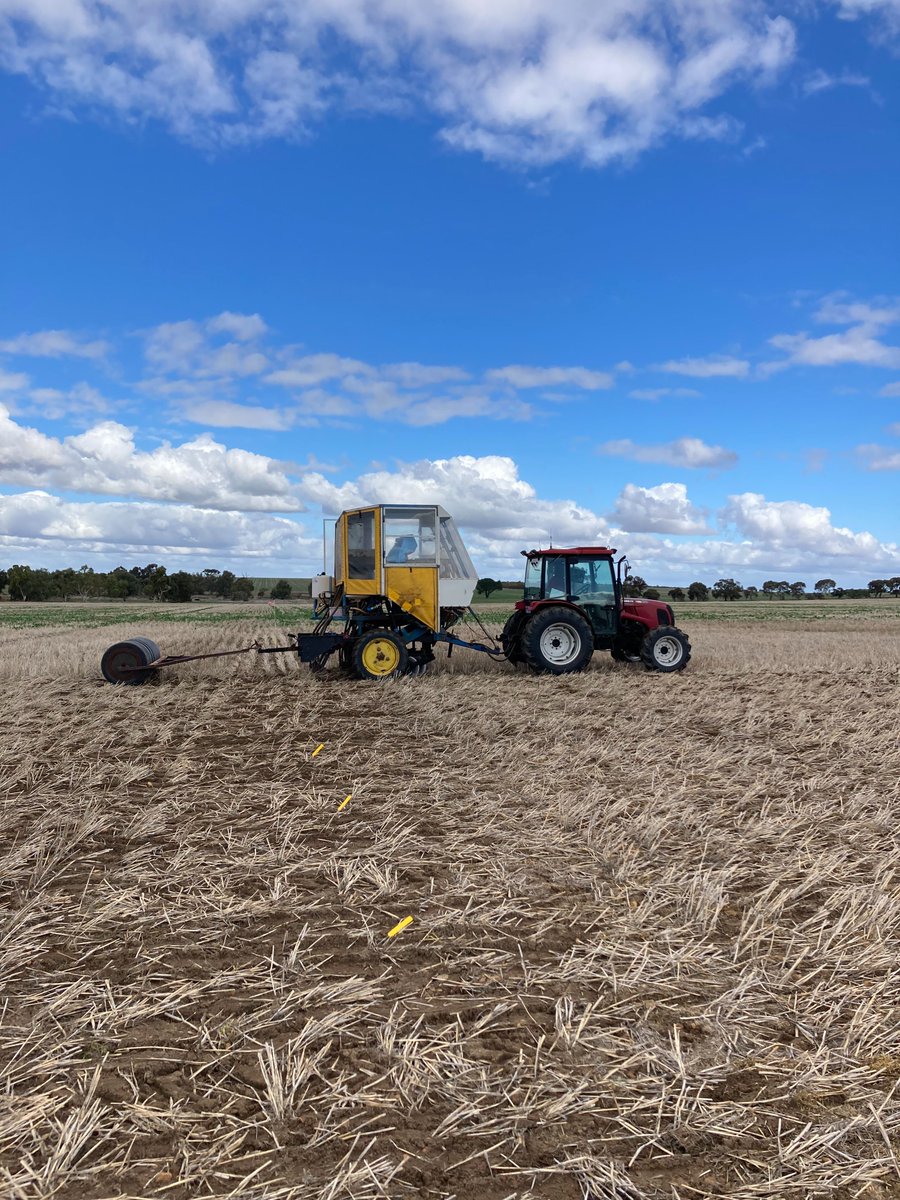 Miranda Slaven tweet media