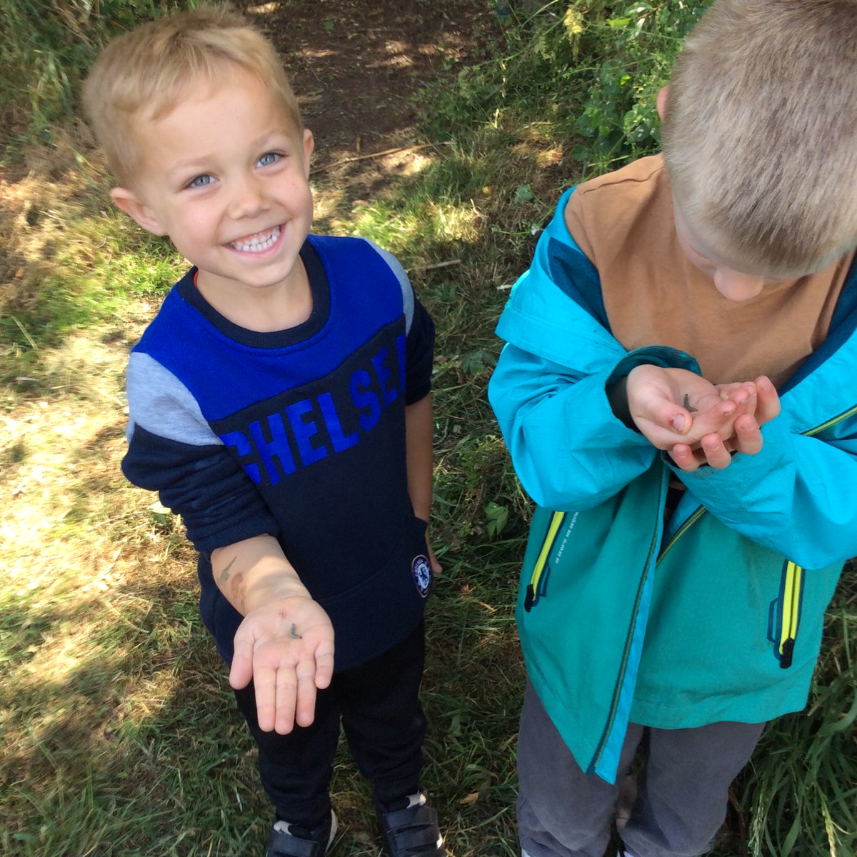 Freeman CP School tweet media