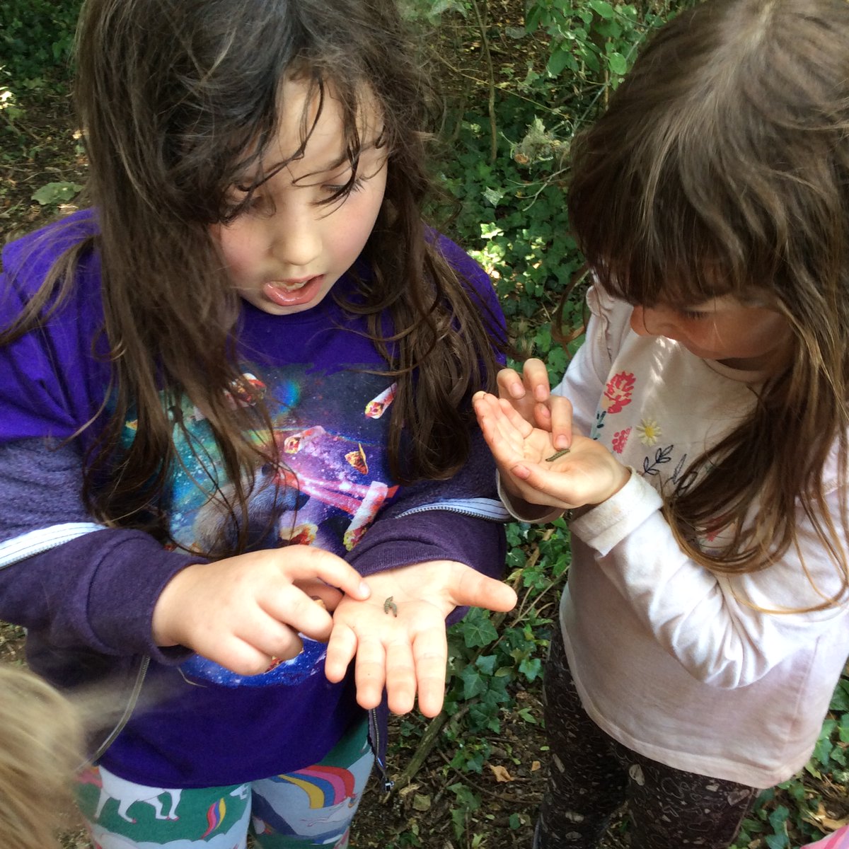 Freeman CP School tweet media