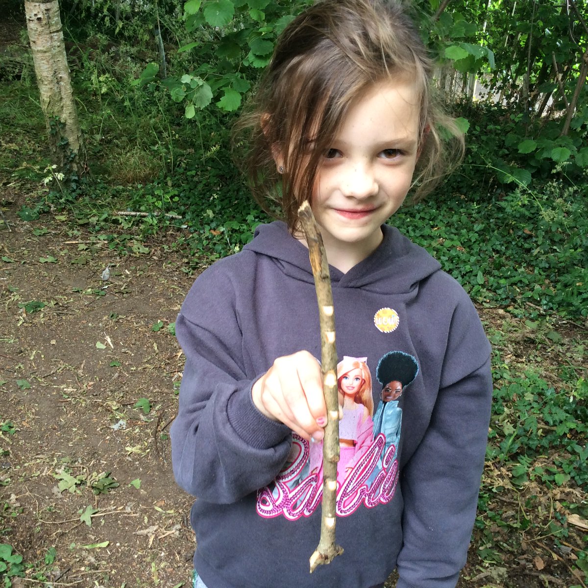 Freeman CP School tweet media