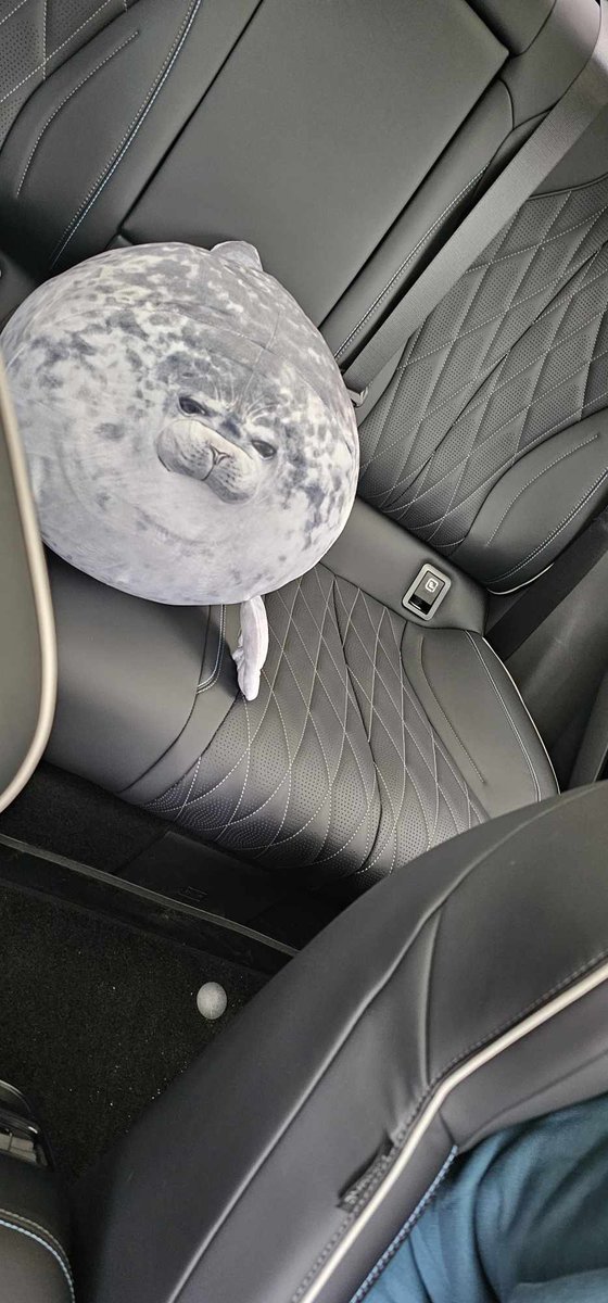 Flinx_Energee's tweet image. He looks so grumpy!
@dont_jinxit bought me a fat seal plush for my seal (car) 😂