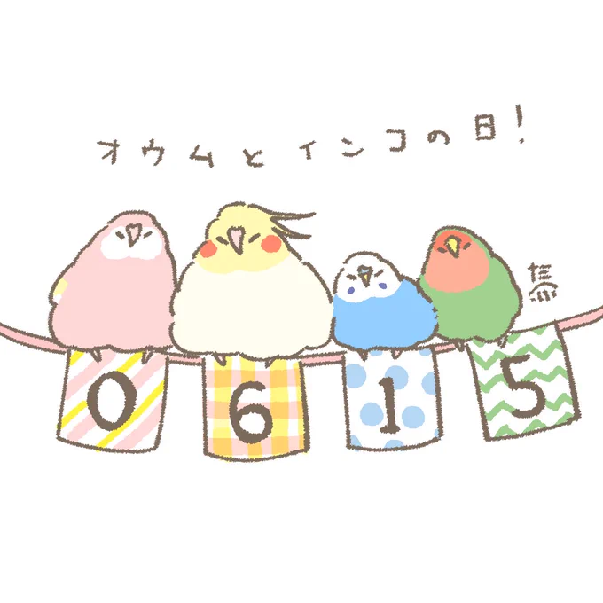 おはようございます 今日は6月15日(日)オウムとインコの日ですね みんなかわいいかわいい
