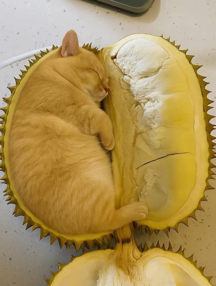 Weirdfoood tweet media