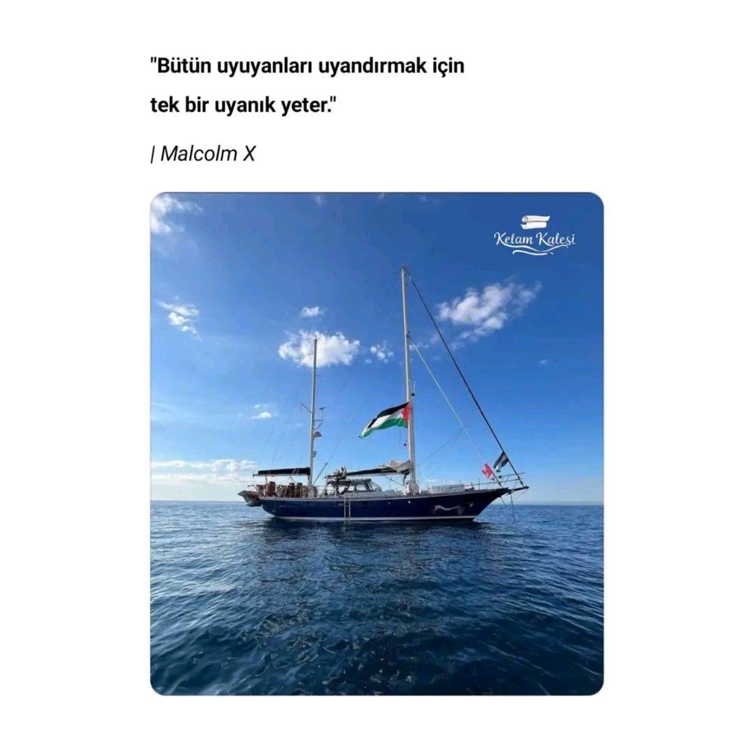 Mikdat KASAL (@mikdatkasal1) on Twitter photo 