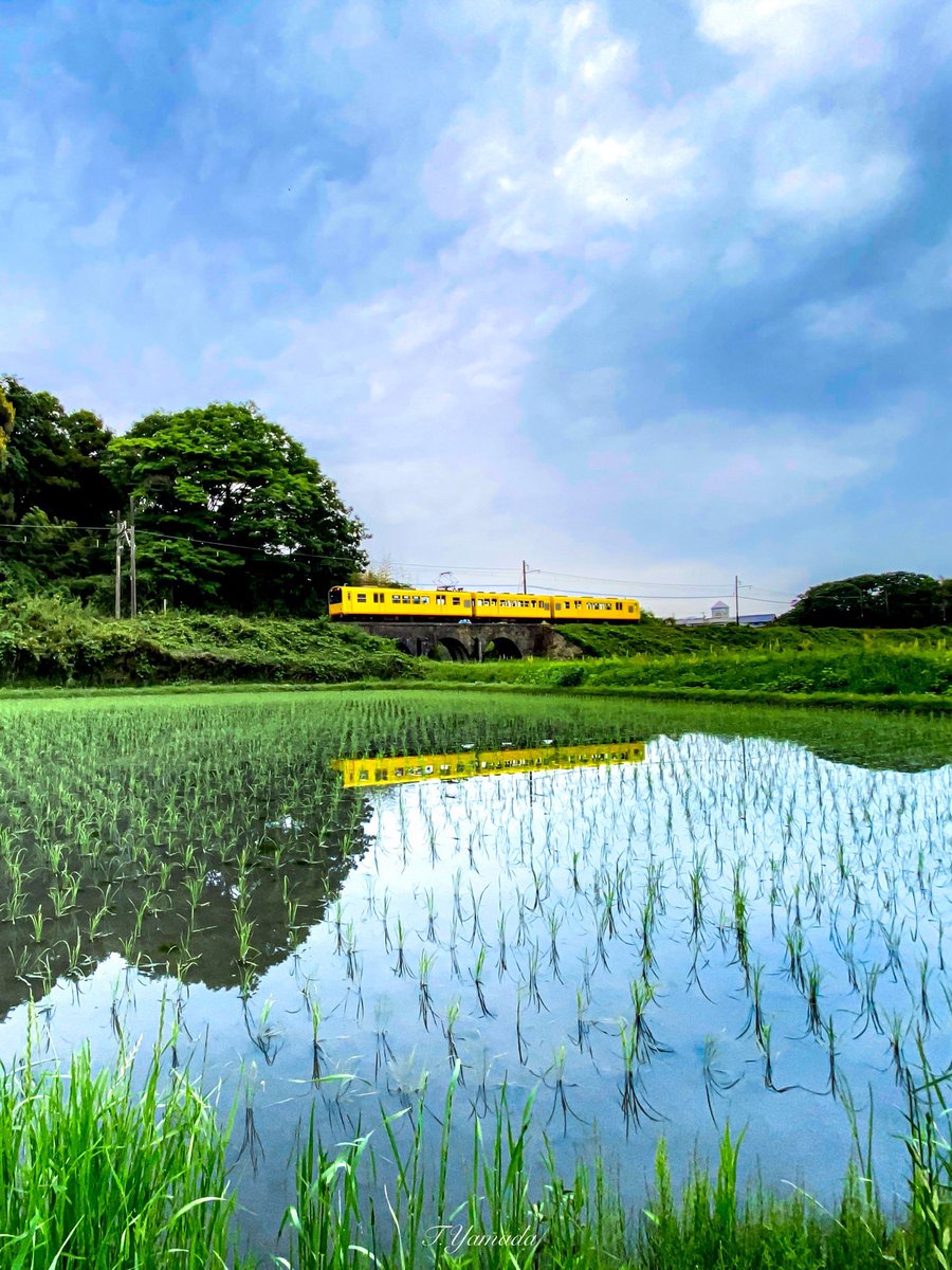 beatnuts_shop's tweet photo. 電車と青空の田植え😊
Shot on iPHONE 11 PRO
JAPAN Mie 2025/5
#リフレクション https://t.co/Sxh9209i71