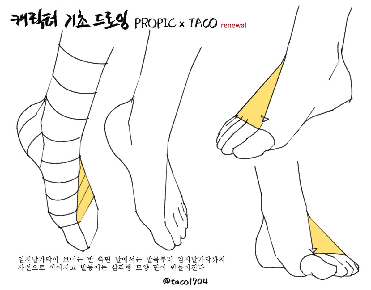 엄지발가락이 보이는 발에서는 발목부터 엄지발가락까지 사선으로 이어지고 발등에는 삼각형 모양 면이 만들어진다 
足の親指が見える足からは足首から足の親指まで斜めにつながり、足の甲には三角形の形の面が作られる