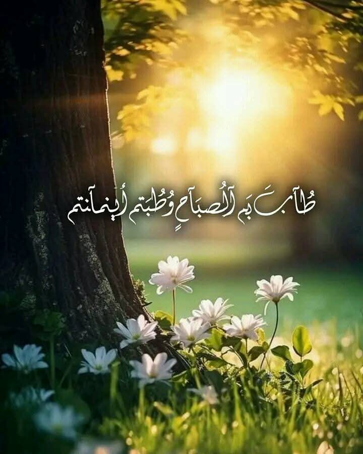 ابو احمد (@nar1790) on Twitter photo #مجموعة_عبدو_للدعم
#دعم_ابو_احمد
✳️<a href="/8Reett/">𝓦𝓐𝓕𝓐𝓐</a>
✴️<a href="/1Reett/">𝒜ℬ𝒟𝒪</a>
✳️<a href="/1qqmr/">𝓦𝓐𝓐𝓓</a>
✴️<a href="/8ot2_/">32k 🔥¡ 𝐚𝗵𝐌𝐚𝚍 🇯🇴</a>
✳️<a href="/5tttiR/">فرز عبدو</a>
✴️<a href="/4tttiR/">𝒜ℬ𝒟𝒪 𝒢ℛ𝒪𝒰𝒫</a>
✳️<a href="/w_tt_n/">وطن</a>
💠
<a href="/9OOOY/">سموالفخامۿ</a> 👑 <a href="/7tttJ/">ᘓɹ̇ɹ̤jɺI g͠ᓄɹɹɹ</a>
💠
<a href="/NNjjoo447/">نور من السماء 🕳️</a>
<a href="/byrm38196/">القبطان 👮</a>
💠
🤍<a href="/AboAli503_/">Abo Ali</a>
💠
<a href="/sa___h/">❦سےـآرهےـِ༄☘︎</a>
<a href="/0ioioo/">ايـــلا | EIIa🐌</a>
<a href="/B10S9/">🇸🇾 باســـ ͢ــل بن ̨ ڣــﮪــد</a>
<a href="/W_a_h_5/">🕊̿ω̿α̿f̿α̿α🕊</a>
<a href="/smt944/">لحظــــــــــة صمــــــــــت</a>
<a href="/75__mah/">M Rosé 🌹</a>
<a href="/Mor__mar/">👑</a>
<a href="/bebe94444/">ابو شــــــهد الهلالي 🤍</a>
<a href="/Saleh_talleb/">S. T. س ل ا /م ا ت.</a>
<a href="/ahmed37189/">احمد السامعي</a>
<a href="/abdulazizz50/">عبد العزيز السلامة أوثال</a> #مجموعة_عبدو_للدعم
#دعم_ابو_احمد
✳️<a href="/8Reett/">𝓦𝓐𝓕𝓐𝓐</a>
✴️<a href="/1Reett/">𝒜ℬ𝒟𝒪</a>
✳️<a href="/1qqmr/">𝓦𝓐𝓐𝓓</a>
✴️<a href="/8ot2_/">32k 🔥¡ 𝐚𝗵𝐌𝐚𝚍 🇯🇴</a>
✳️<a href="/5tttiR/">فرز عبدو</a>
✴️<a href="/4tttiR/">𝒜ℬ𝒟𝒪 𝒢ℛ𝒪𝒰𝒫</a>
✳️<a href="/w_tt_n/">وطن</a>
💠
<a href="/9OOOY/">سموالفخامۿ</a> 👑 <a href="/7tttJ/">ᘓɹ̇ɹ̤jɺI g͠ᓄɹɹɹ</a>
💠
<a href="/NNjjoo447/">نور من السماء 🕳️</a>
<a href="/byrm38196/">القبطان 👮</a>
💠
🤍<a href="/AboAli503_/">Abo Ali</a>
💠
<a href="/sa___h/">❦سےـآرهےـِ༄☘︎</a>
<a href="/0ioioo/">ايـــلا | EIIa🐌</a>
<a href="/B10S9/">🇸🇾 باســـ ͢ــل بن ̨ ڣــﮪــد</a>
<a href="/W_a_h_5/">🕊̿ω̿α̿f̿α̿α🕊</a>
<a href="/smt944/">لحظــــــــــة صمــــــــــت</a>
<a href="/75__mah/">M Rosé 🌹</a>
<a href="/Mor__mar/">👑</a>
<a href="/bebe94444/">ابو شــــــهد الهلالي 🤍</a>
<a href="/Saleh_talleb/">S. T. س ل ا /م ا ت.</a>
<a href="/ahmed37189/">احمد السامعي</a>
<a href="/abdulazizz50/">عبد العزيز السلامة أوثال</a>