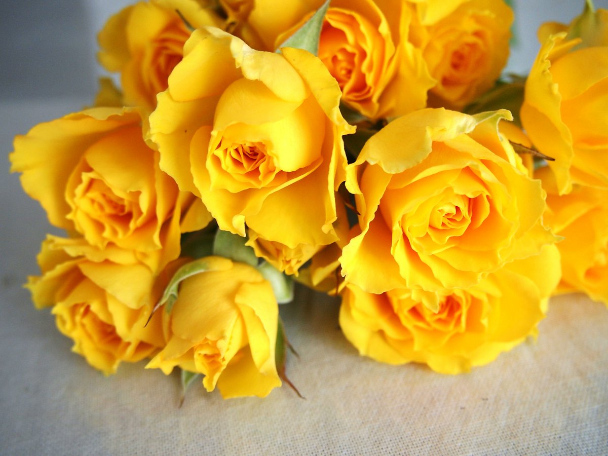 ／
今日は #父の日
＼
日頃の感謝、伝えられるといいですね☺️