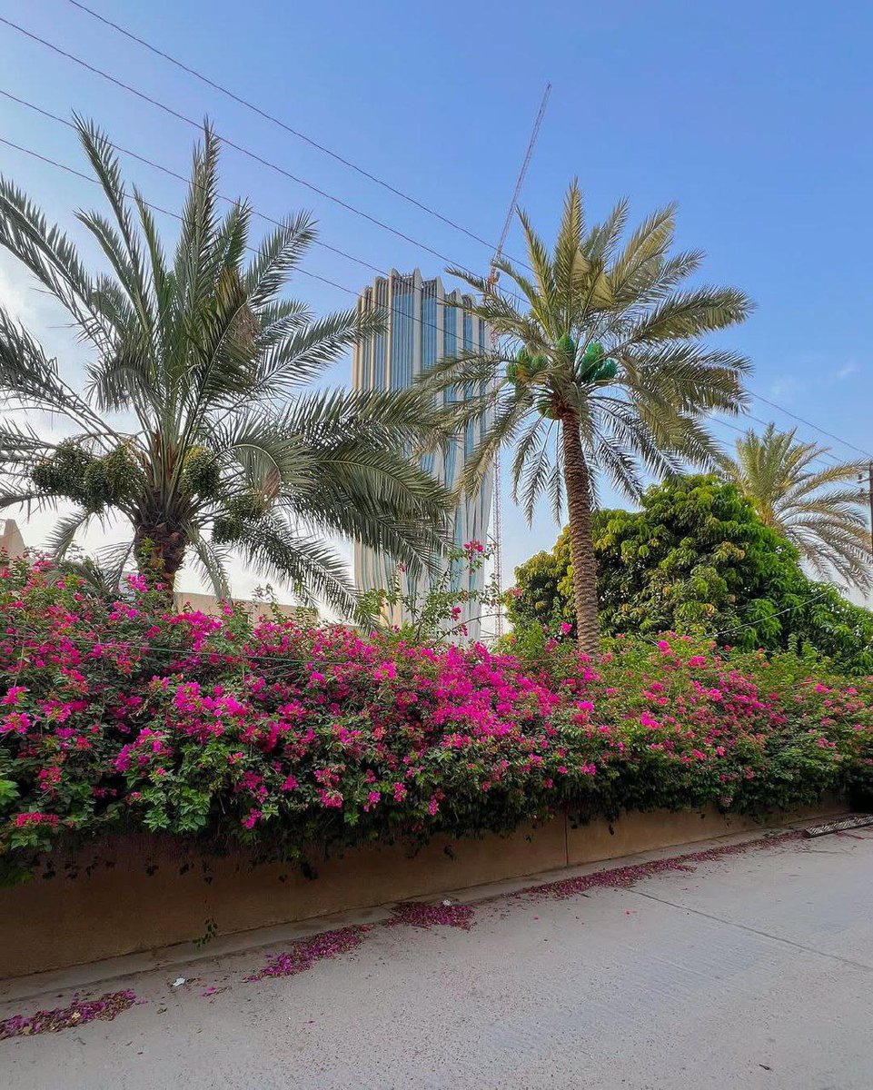 mansouralg91's tweet photo. إنِي بَلغتُ بهِ بِالحُب مَنزِلةٌ 
رُوحِي بِرُوحِهِ والأجسَادُ تَنفَصِلُ

#riyadh https://t.co/Vvt61MlAIH