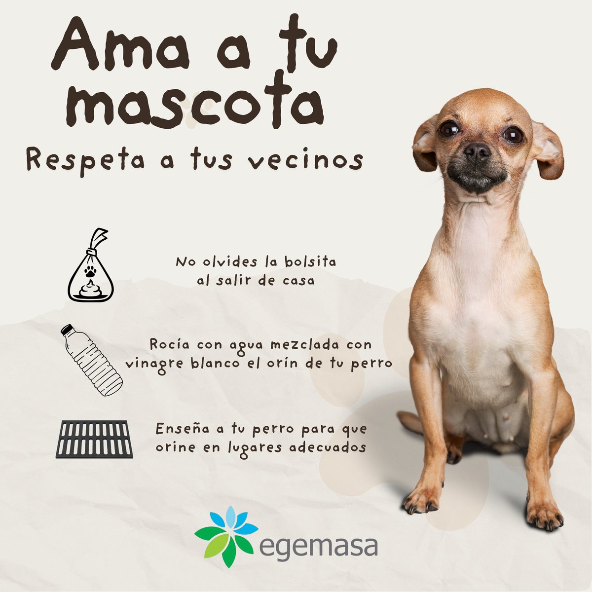Ama a tu mascota🐶y respeta a tu vecino🏡

🐾Recoge su caca (¡no olvides la bolsita!)
💧Limpia el pipí con agua + vinagre blanco
🚰 Enséñale a orinar en alcantarillas

Pequeños gestos que hacen una gran diferencia. ¡Gracias! 🙌 #TenenciaResponsable