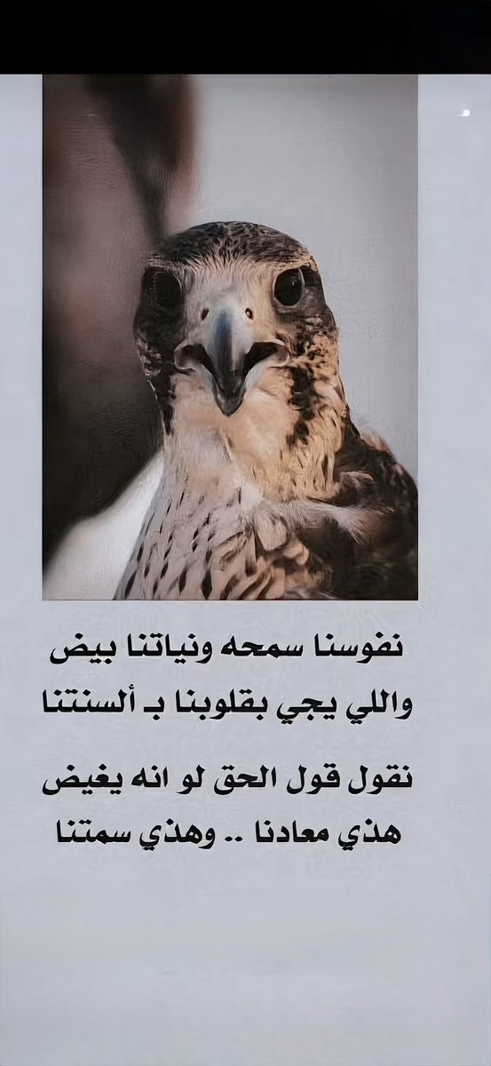 vip خاص نوادرالابل (@vib151515) on Twitter photo 