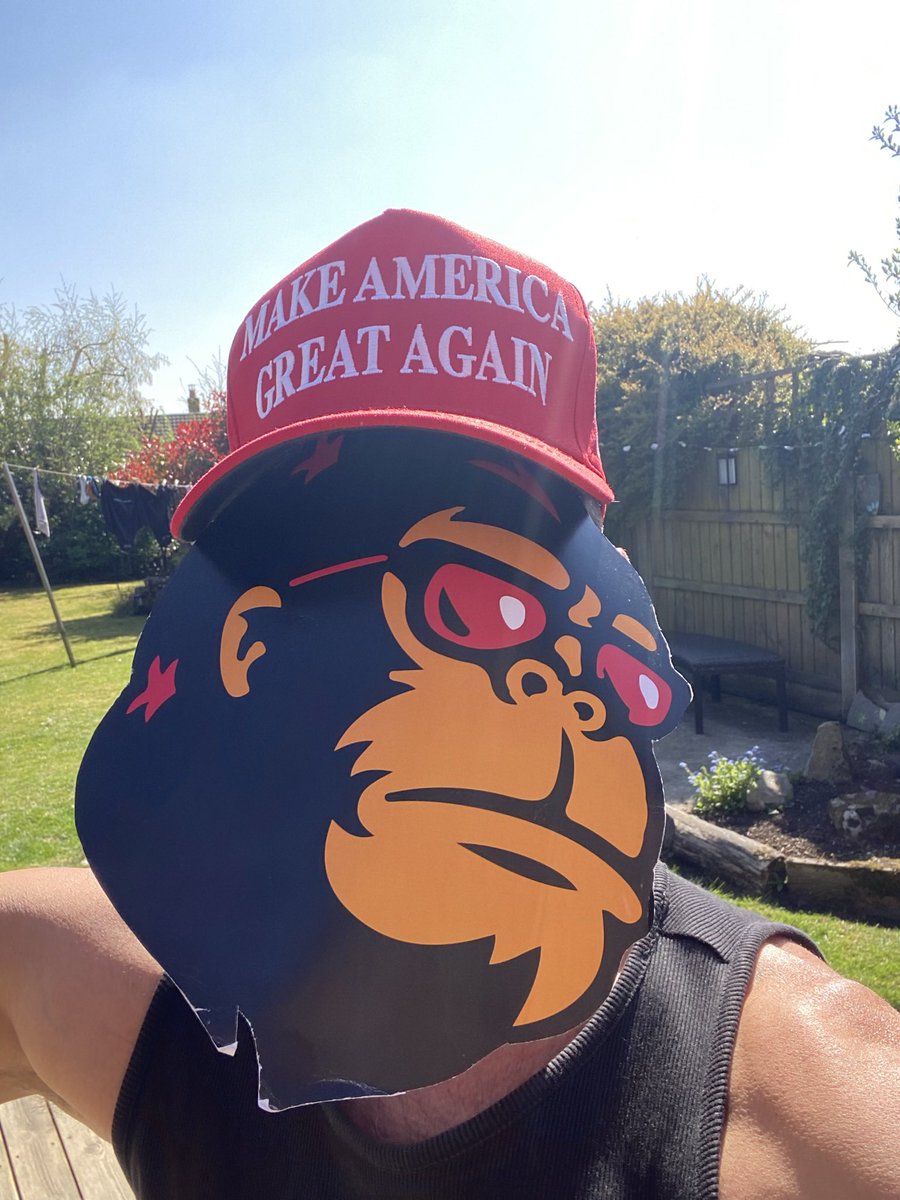 Ste_Cha78's tweet photo. ‼️GM GORILLAS‼️

It’s a jolly green candle morning on #FEG ISLAND 🏝️ 

All the Gorillas 🦍 are buyin the limited supply up like there is no tomorrow 🫶🏽

Thanks for the shoutout @BNBCHAIN 🤝 https://t.co/kyWP3u5eTJ $CZ @FEGtoken @hiRavenCrypto https://t.co/5GNM5j3IZG
