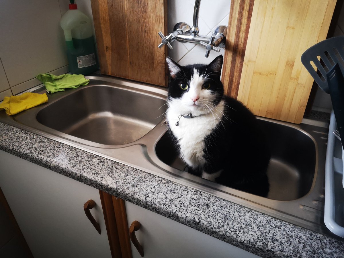 When go make coffee and this is what you see and have to deal with