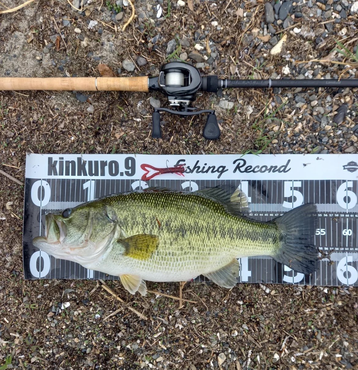 Valleyhill/バレーヒル on X: 