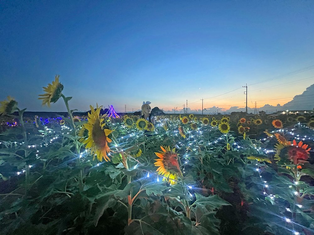 【9月分までご予約開始】
2025年 ひまわり撮影
遠藤ファーム(群馬県太田市)
コスプレシェア撮影会
2025年 7/2(水)〜
9月分まで現在予約可能！
10,11月分は今後解放予定
月・水・土日祝のみ受付
￥4,000/人
HP⤵
cosnavi.biz/9v2t

【🌻参加プラン🌻】
① 通常
　10:30受付