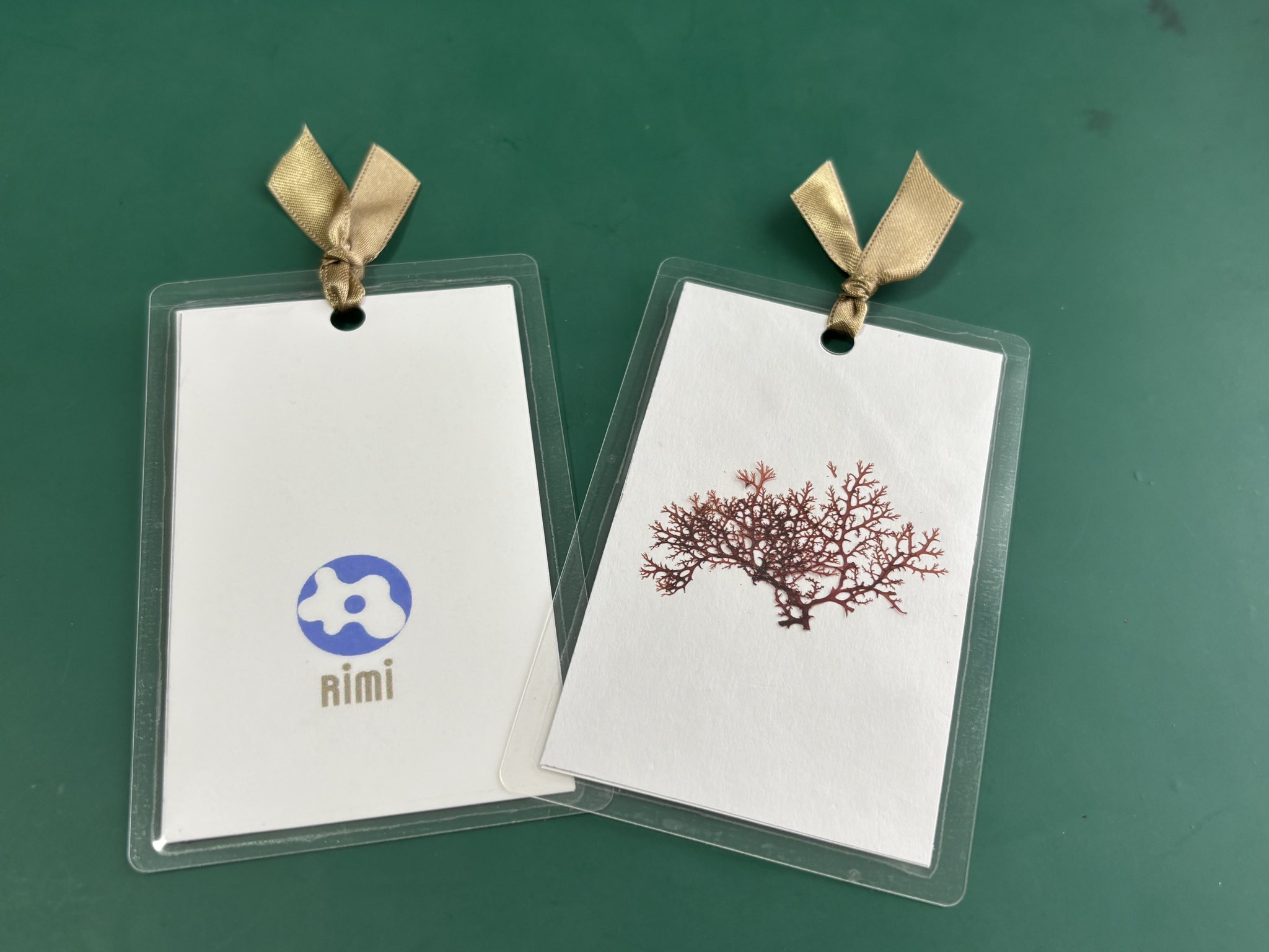 海産無脊椎動物の発生実験/培風館/石川優（生物学）（単行本） 海産無脊椎動物多様性学: 100年の歴史とフロンティア | 京都大学